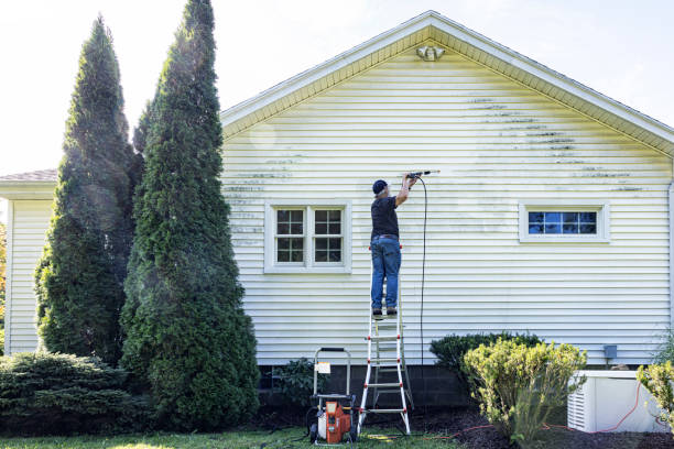 Best Power Washing Near Me  in Nashville, MI