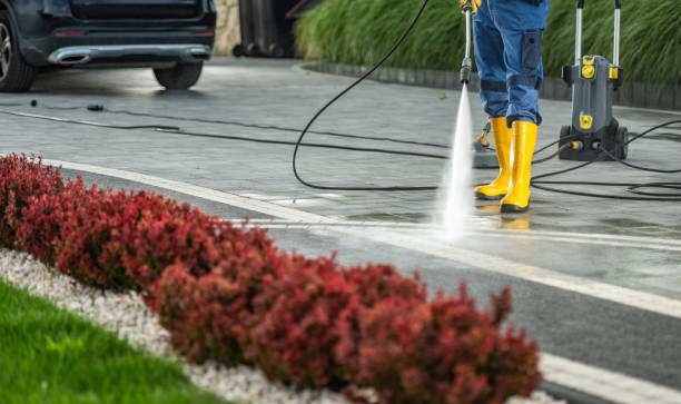 Best Roof Power Washing Services  in Nashville, MI